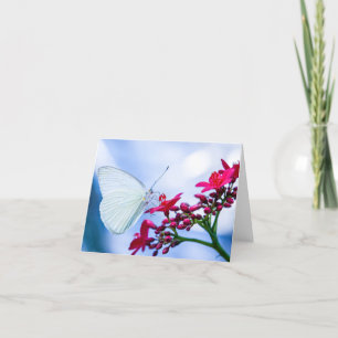 Beau Carte pour notes blanc papillon