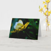 Beau carte pour notes de blanc de papillon (Fleur jaune)