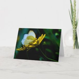 Beau carte pour notes de blanc de papillon