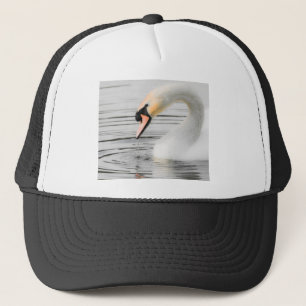 Beau Casquette de cygne