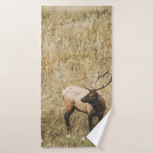 BEAU CERF D'ELK
