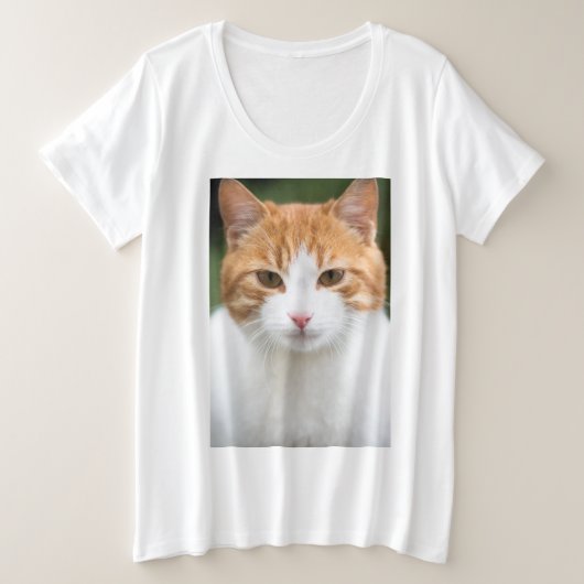 Beau chat rouge (Design devant)