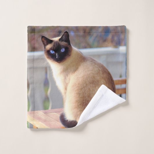 Beau chat siamois avec yeux bleus (Gant de toilette)