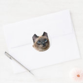 Beau chat siamois Photo Classic Sticker rond (Enveloppe)