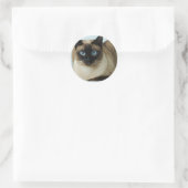 Beau chat siamois Photo Classic Sticker rond (Sac)