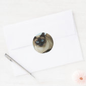 Beau chat siamois Photo Classic Sticker rond (Enveloppe)