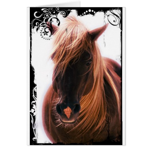 Beau Cheval (Devant)
