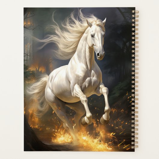 Beau Cheval Blanc (Dos)