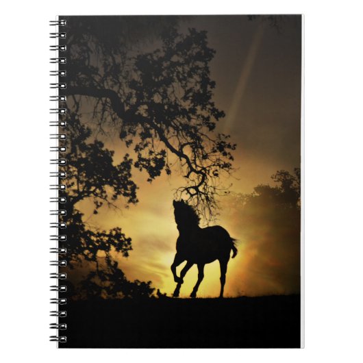 Beau cheval dans le Carnet du coucher de soleil (Devant)