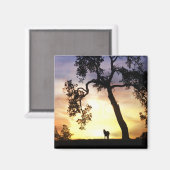 Beau Cheval dans le Sunset Magnet (Recto/Verso)