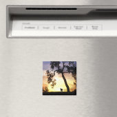 Beau Cheval dans le Sunset Magnet (In Situ (Lave-vaisselle))