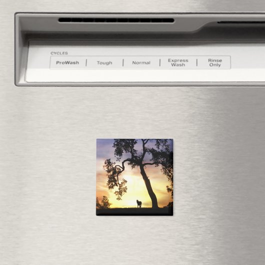 Beau Cheval dans le Sunset Magnet (In Situ (Lave-vaisselle))