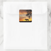 Beau Cheval dans un Stickers Coucher de Soleil Fie (Sac)