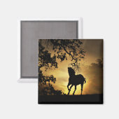 Beau Cheval de course dans le Sunset Magnet (Recto/Verso)