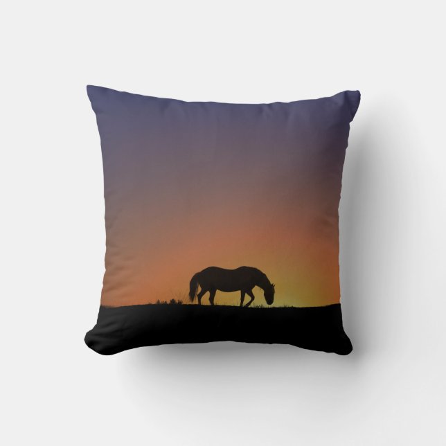 Beau Cheval du Sud-Ouest et Coussin Sunrise (Recto)