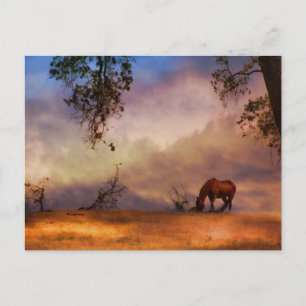 Beau cheval et chêne avec nuages Carte postale