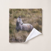 Beau Cheval gris coloré (Gant de toilette)