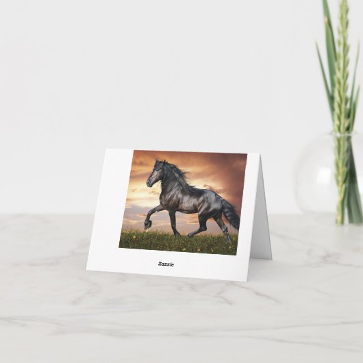 Beau Cheval Noir (Dos)