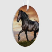 Beau Cheval Noir (devant)