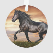 Beau Cheval Noir (dos)