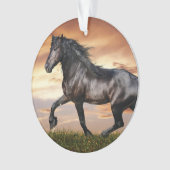 Beau Cheval Noir (devant)