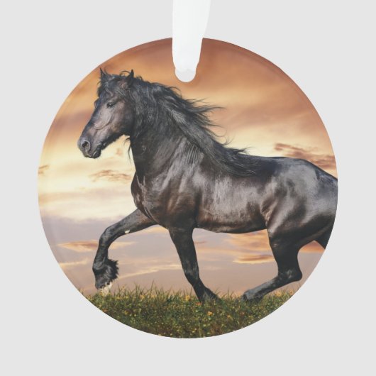 Beau Cheval Noir (devant)