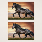 Beau Cheval Noir (Devant & derrière)