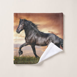 Beau Cheval Noir