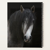 Beau Cheval noir et blanc (Dos)