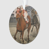 Beau cheval ravit les propriétaires en course clas (devant)