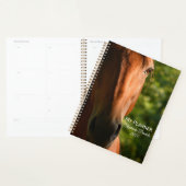 Beau cheval Thoroughbred (Devant avec enveloppe)