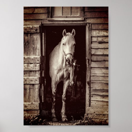 Beau Chevaux Rustique Brown Grange Poster (Devant)