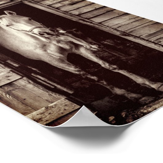 Beau Chevaux Rustique Brown Grange Poster (Coin)