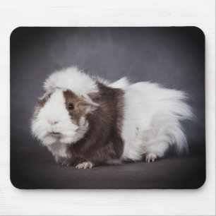 Beau Cochon de Guinée, Tapis de Souris
