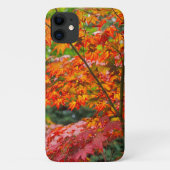 Beau Coque Acer iPhone 11 (Dos)