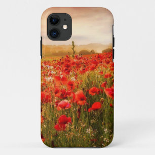 Beau coque de champs de pavot rouge