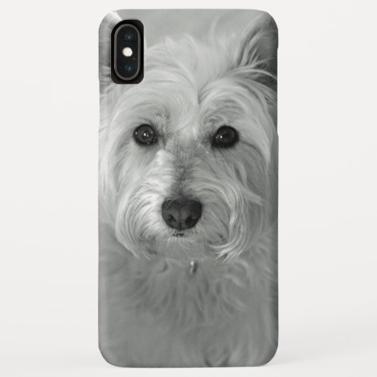 Beau coque iphone de Westie Dog (Dos)