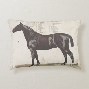 Beau coussin à cheval vintage