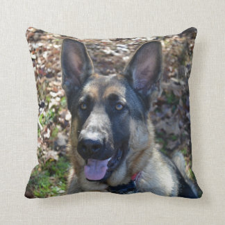 Beau coussin de berger allemand