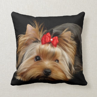 Beau coussin de chien