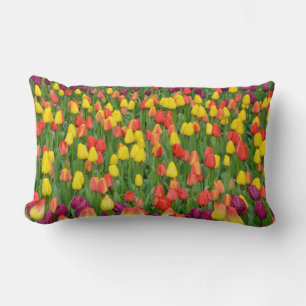 Beau coussin de jardin de tulipe de printemps