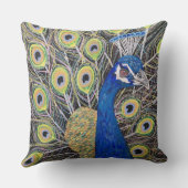 Beau coussin de paon (Verso)