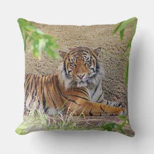 Beau Coussin de tigre !
