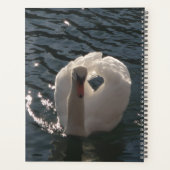 Beau cygne blanc (Dos)