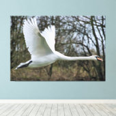 Beau Cygne En Toile Emballée En Vol (Insitu (Plancher de Bois))