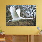 Beau Cygne En Toile Emballée En Vol (Insitu(Salon))