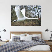 Beau Cygne En Toile Emballée En Vol (Insitu(Chambre))