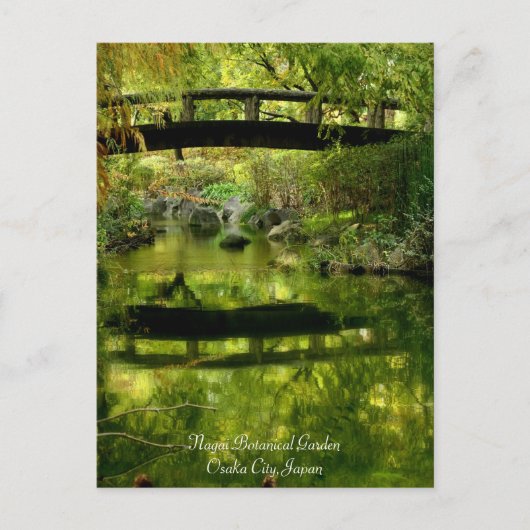 Beau décor : Carte postale (Devant)