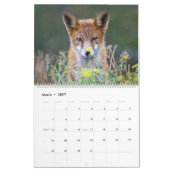 Beau Esprit du calendrier du mur Fox 2021 (Mar 2027)