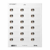 Beau Étiquette de adresse de chevaux Brown (Feuille entière)